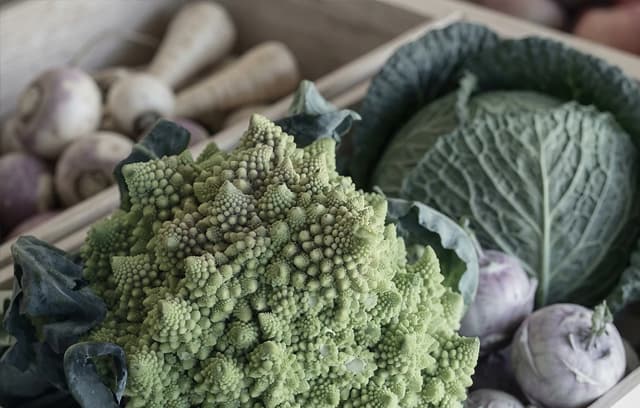 Nutrición infantil