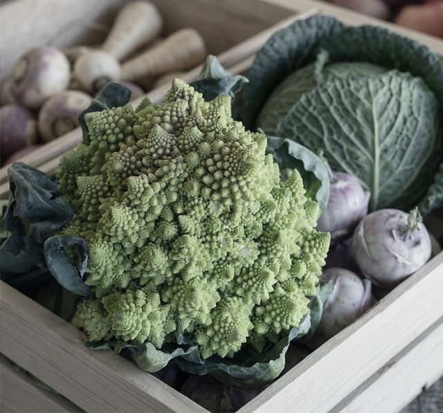 Nutrición infantil en Vilagarcía y Santiago adaptada al crecimiento